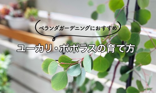 脂肪产生热量的换算-脂肪变热量网 - 网站提供脂肪加热会变成什么小常识、脂肪热量高吗